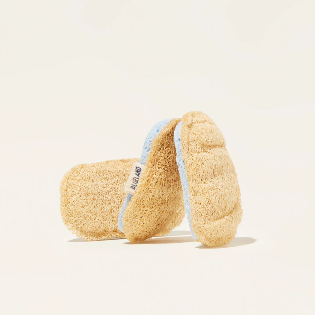 Scrub Sponge